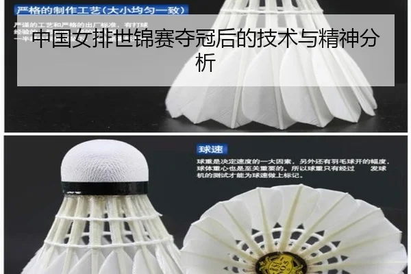 中国女排世锦赛夺冠后的技术与精神分析